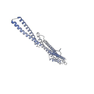17187_8otz_DU_v1-0
48-nm repeat of the native axonemal doublet microtubule from bovine sperm