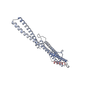17187_8otz_DW_v1-0
48-nm repeat of the native axonemal doublet microtubule from bovine sperm