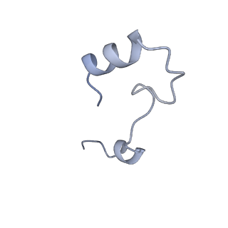 17187_8otz_DY_v1-0
48-nm repeat of the native axonemal doublet microtubule from bovine sperm