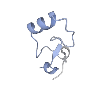 17187_8otz_DZ_v1-0
48-nm repeat of the native axonemal doublet microtubule from bovine sperm