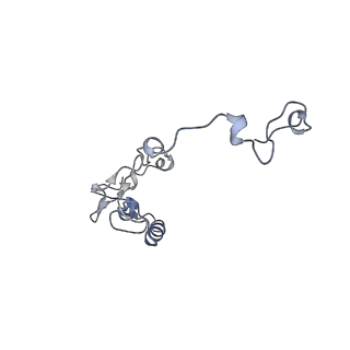 17187_8otz_Da_v1-0
48-nm repeat of the native axonemal doublet microtubule from bovine sperm