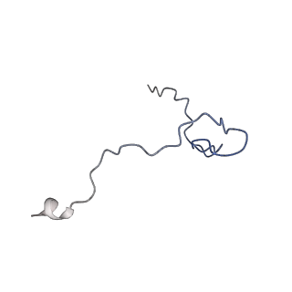 17187_8otz_Db_v1-0
48-nm repeat of the native axonemal doublet microtubule from bovine sperm