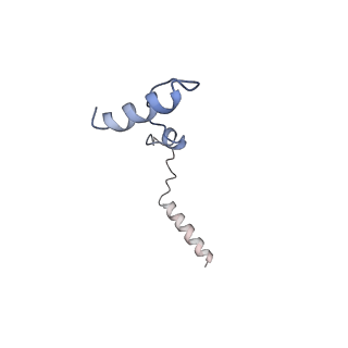 17187_8otz_De_v1-0
48-nm repeat of the native axonemal doublet microtubule from bovine sperm