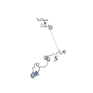 17187_8otz_Df_v1-0
48-nm repeat of the native axonemal doublet microtubule from bovine sperm