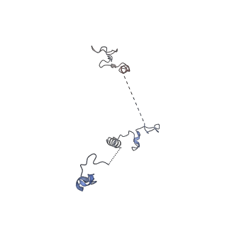 17187_8otz_Dg_v1-0
48-nm repeat of the native axonemal doublet microtubule from bovine sperm