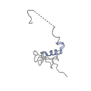 17187_8otz_Di_v1-0
48-nm repeat of the native axonemal doublet microtubule from bovine sperm