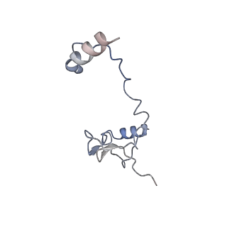 17187_8otz_Dj_v1-0
48-nm repeat of the native axonemal doublet microtubule from bovine sperm