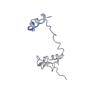 17187_8otz_Dk_v1-0
48-nm repeat of the native axonemal doublet microtubule from bovine sperm