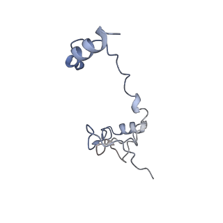 17187_8otz_Dl_v1-0
48-nm repeat of the native axonemal doublet microtubule from bovine sperm