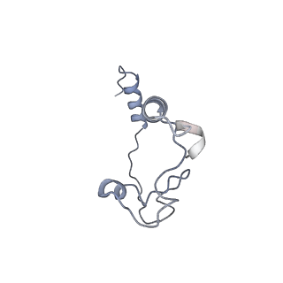 17187_8otz_Dm_v1-0
48-nm repeat of the native axonemal doublet microtubule from bovine sperm