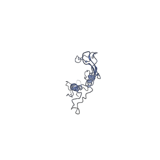 17187_8otz_E1_v1-0
48-nm repeat of the native axonemal doublet microtubule from bovine sperm
