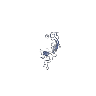 17187_8otz_E3_v1-0
48-nm repeat of the native axonemal doublet microtubule from bovine sperm