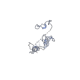 17187_8otz_E4_v1-0
48-nm repeat of the native axonemal doublet microtubule from bovine sperm