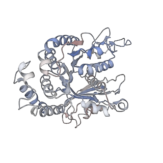 17187_8otz_EC_v1-0
48-nm repeat of the native axonemal doublet microtubule from bovine sperm