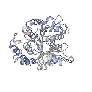 17187_8otz_ED_v1-0
48-nm repeat of the native axonemal doublet microtubule from bovine sperm