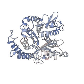17187_8otz_EF_v1-0
48-nm repeat of the native axonemal doublet microtubule from bovine sperm