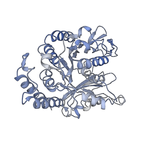 17187_8otz_EL_v1-0
48-nm repeat of the native axonemal doublet microtubule from bovine sperm