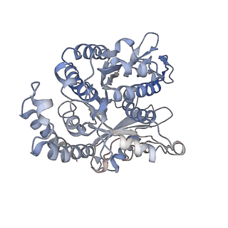 17187_8otz_EN_v1-0
48-nm repeat of the native axonemal doublet microtubule from bovine sperm
