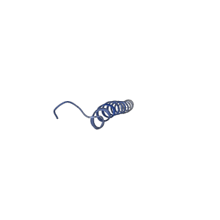17187_8otz_ER_v1-0
48-nm repeat of the native axonemal doublet microtubule from bovine sperm