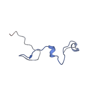17187_8otz_Ee_v1-0
48-nm repeat of the native axonemal doublet microtubule from bovine sperm