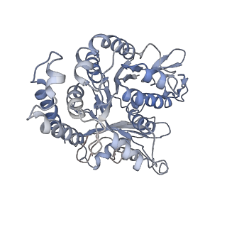 17187_8otz_FB_v1-0
48-nm repeat of the native axonemal doublet microtubule from bovine sperm