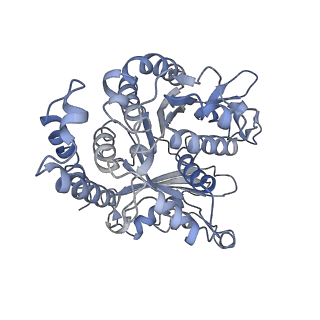 17187_8otz_FD_v1-0
48-nm repeat of the native axonemal doublet microtubule from bovine sperm