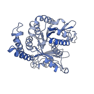 17187_8otz_FF_v1-0
48-nm repeat of the native axonemal doublet microtubule from bovine sperm