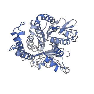 17187_8otz_FH_v1-0
48-nm repeat of the native axonemal doublet microtubule from bovine sperm