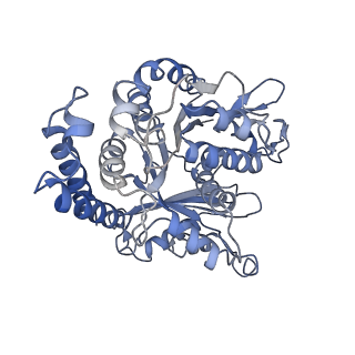 17187_8otz_FJ_v1-0
48-nm repeat of the native axonemal doublet microtubule from bovine sperm