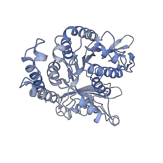 17187_8otz_FL_v1-0
48-nm repeat of the native axonemal doublet microtubule from bovine sperm