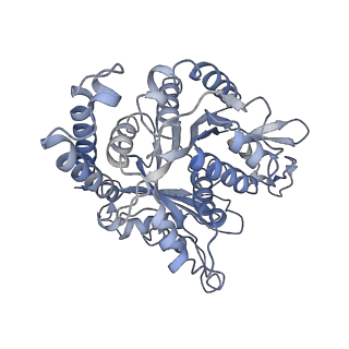 17187_8otz_GD_v1-0
48-nm repeat of the native axonemal doublet microtubule from bovine sperm