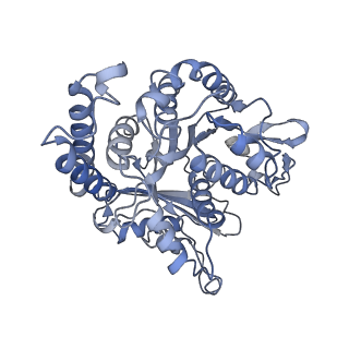 17187_8otz_GH_v1-0
48-nm repeat of the native axonemal doublet microtubule from bovine sperm