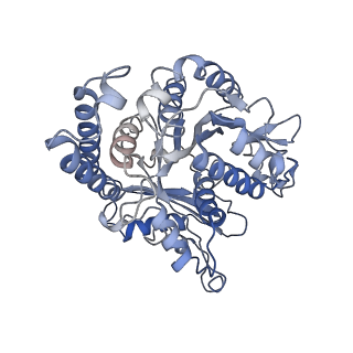 17187_8otz_GL_v1-0
48-nm repeat of the native axonemal doublet microtubule from bovine sperm