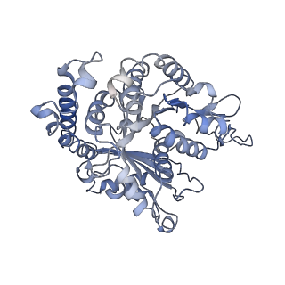17187_8otz_GM_v1-0
48-nm repeat of the native axonemal doublet microtubule from bovine sperm