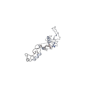 17187_8otz_G_v1-0
48-nm repeat of the native axonemal doublet microtubule from bovine sperm