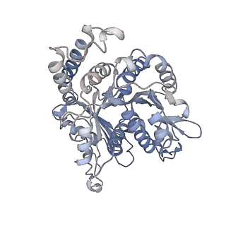 17187_8otz_HB_v1-0
48-nm repeat of the native axonemal doublet microtubule from bovine sperm