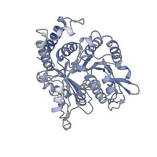17187_8otz_HD_v1-0
48-nm repeat of the native axonemal doublet microtubule from bovine sperm