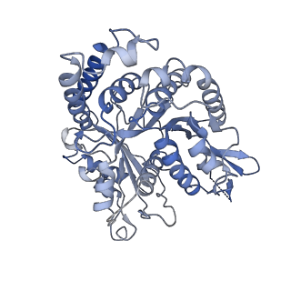 17187_8otz_HE_v1-0
48-nm repeat of the native axonemal doublet microtubule from bovine sperm