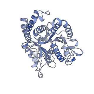 17187_8otz_HF_v1-0
48-nm repeat of the native axonemal doublet microtubule from bovine sperm