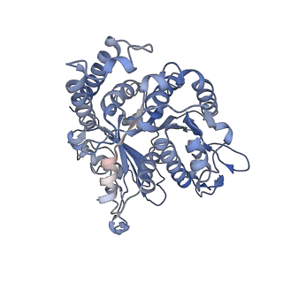 17187_8otz_HH_v1-0
48-nm repeat of the native axonemal doublet microtubule from bovine sperm