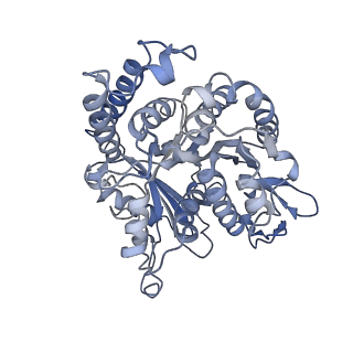 17187_8otz_HJ_v1-0
48-nm repeat of the native axonemal doublet microtubule from bovine sperm