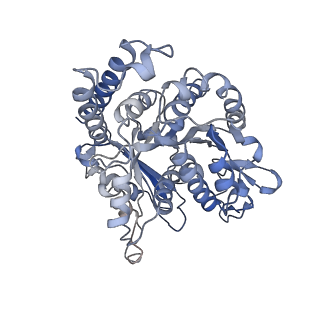 17187_8otz_HN_v1-0
48-nm repeat of the native axonemal doublet microtubule from bovine sperm
