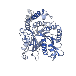 17187_8otz_IC_v1-0
48-nm repeat of the native axonemal doublet microtubule from bovine sperm