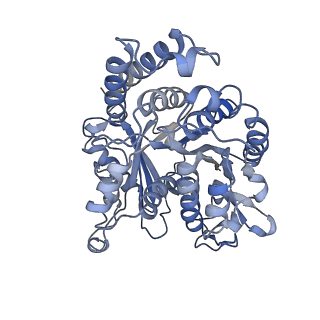 17187_8otz_ID_v1-0
48-nm repeat of the native axonemal doublet microtubule from bovine sperm