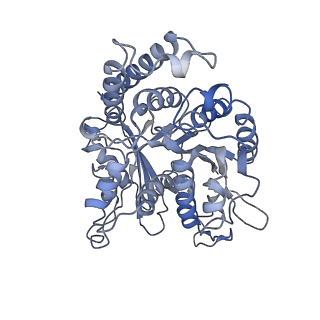 17187_8otz_IF_v1-0
48-nm repeat of the native axonemal doublet microtubule from bovine sperm