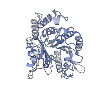 17187_8otz_IH_v1-0
48-nm repeat of the native axonemal doublet microtubule from bovine sperm