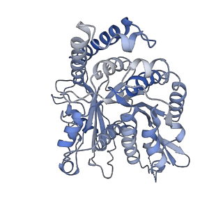 17187_8otz_II_v1-0
48-nm repeat of the native axonemal doublet microtubule from bovine sperm