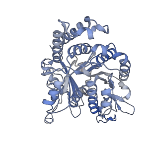 17187_8otz_IJ_v1-0
48-nm repeat of the native axonemal doublet microtubule from bovine sperm