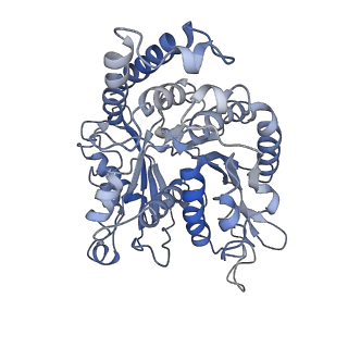 17187_8otz_IK_v1-0
48-nm repeat of the native axonemal doublet microtubule from bovine sperm