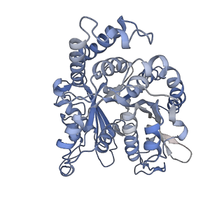 17187_8otz_IL_v1-0
48-nm repeat of the native axonemal doublet microtubule from bovine sperm